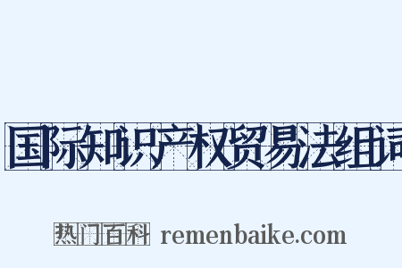 国际知识产权贸易法组词是什么意思的图片